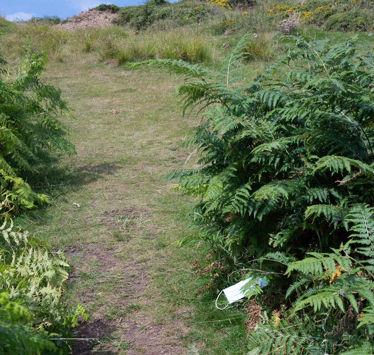 Mask on Great Orme path by Stuart Tudno Jones