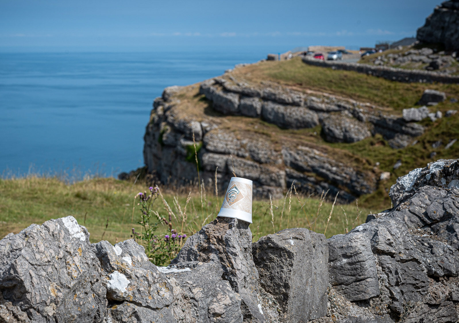 Great Orme cup by Tony Davies