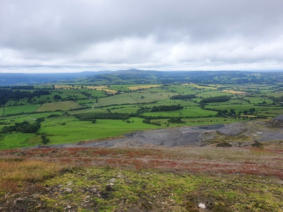 Llantysilio Mountain. Image NRW