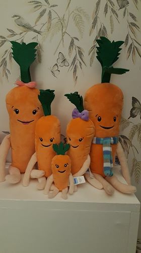 kevin and katie carrot aldi